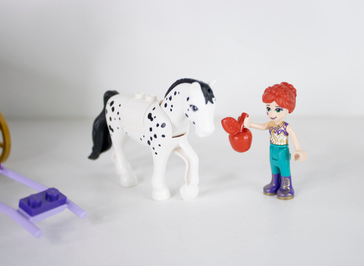 41688 Friends: Magical Caravan