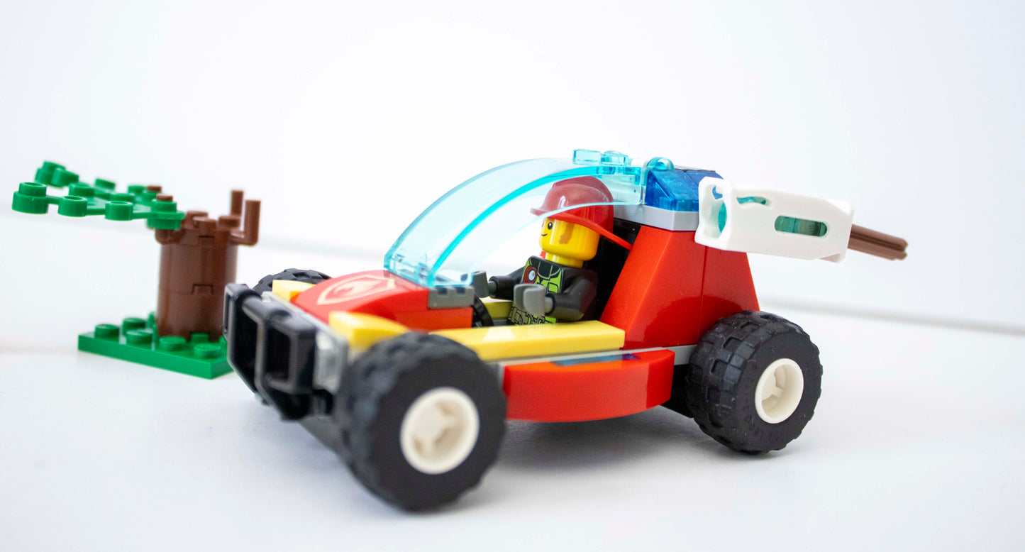 60247 City: Forest Fire